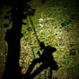 Meet your Posher, Timothy